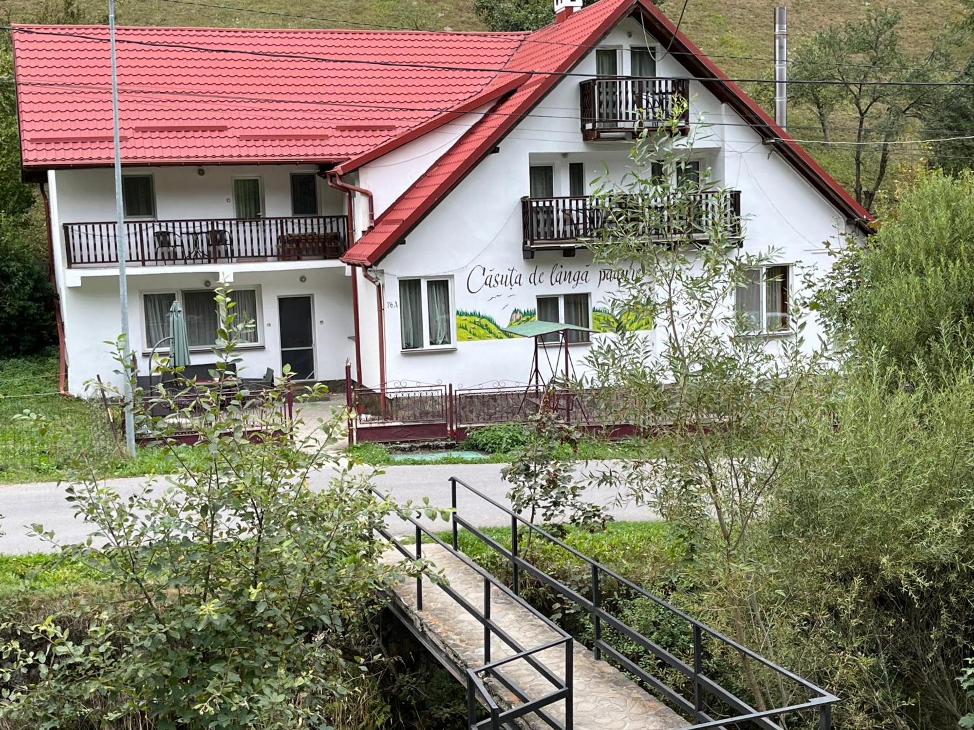 Casuta De Langa Padure Hotel Moeciu De Sus Bagian luar foto