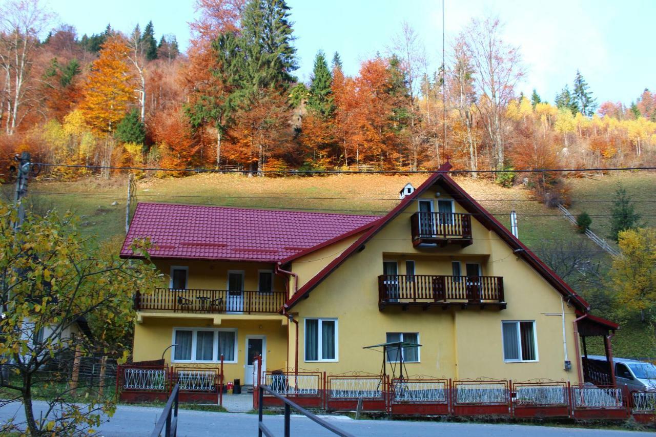 Casuta De Langa Padure Hotel Moeciu De Sus Bagian luar foto