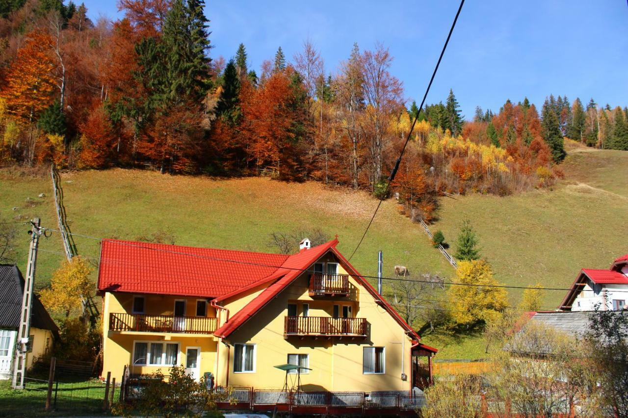 Casuta De Langa Padure Hotel Moeciu De Sus Bagian luar foto