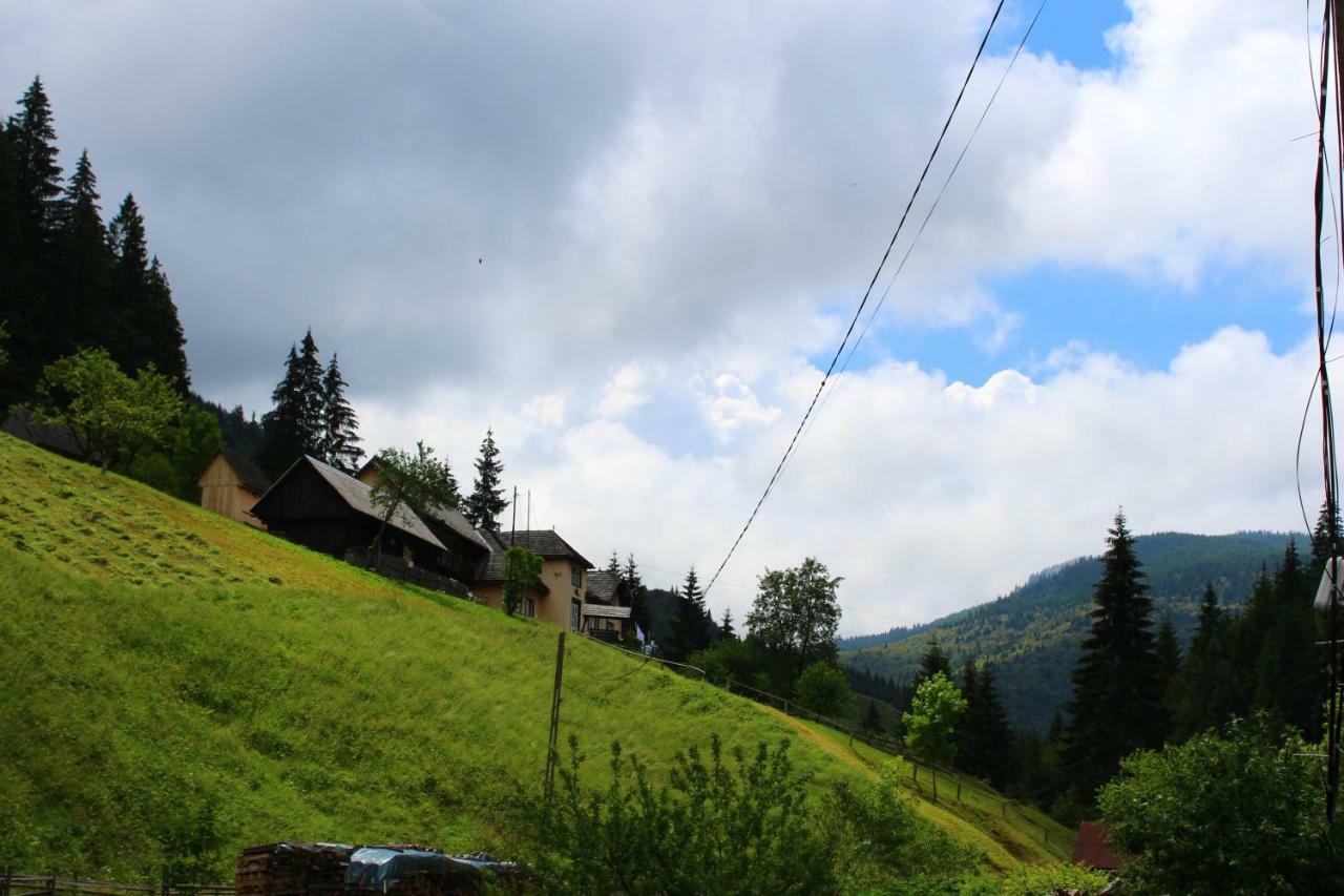 Casuta De Langa Padure Hotel Moeciu De Sus Bagian luar foto