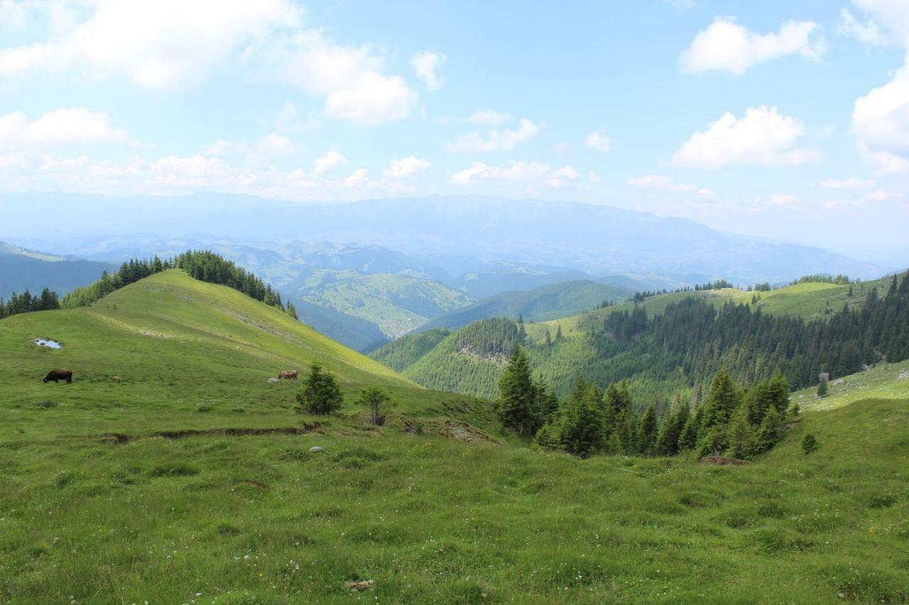 Casuta De Langa Padure Hotel Moeciu De Sus Bagian luar foto